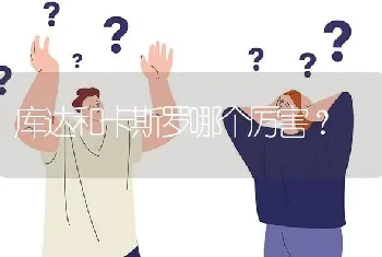 库达和卡斯罗哪个厉害？