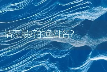 清藻最好的鱼排名？