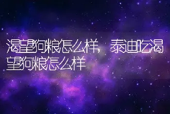 渴望狗粮怎么样，泰迪吃渴望狗粮怎么样