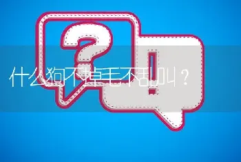 什么狗不掉毛不乱叫？