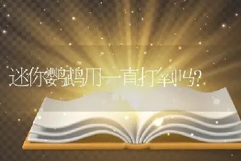 迷你鹦鹉用一直打氧吗？