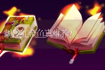 鹤顶红金鱼真难养？