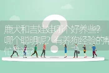 鹿犬和吉娃娃哪个好养些？哪个聪明呢？有养狗经验的帮忙选选？