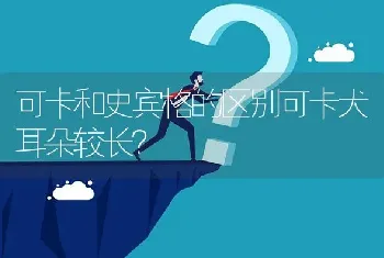 可卡和史宾格的区别可卡犬耳朵较长？