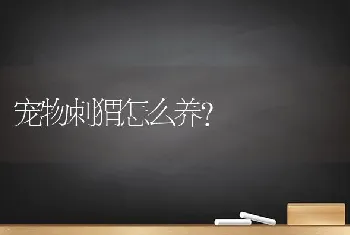 狗狗吃多了西红柿呕吐拉稀，怎么办？