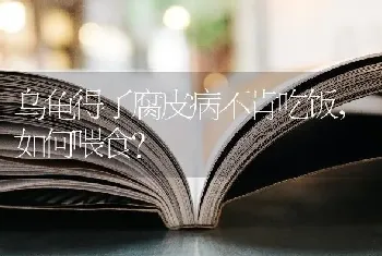 4个月边牧关笼子一直叫可以打吗？