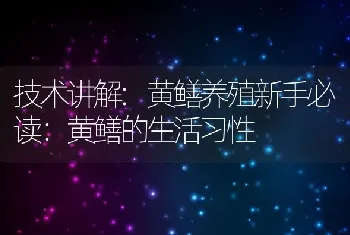 技术讲解:黄鳝养殖新手必读：黄鳝的生活习性