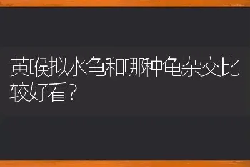 黄喉拟水龟和哪种龟杂交比较好看？