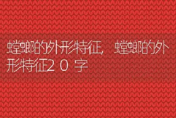 螳螂的外形特征，螳螂的外形特征20字