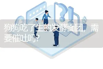 狗狗吃了生的发酵面团，需要催吐吗？