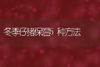 冬季仔猪保温5种方法