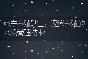 泥鳅养殖的水质管理技术