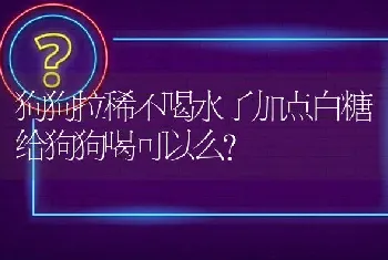 狗狗拉稀不喝水了加点白糖给狗狗喝可以么？