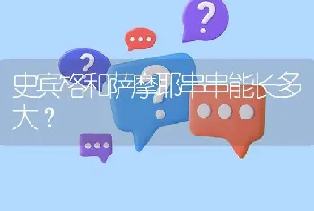 史宾格和萨摩耶串串能长多大？