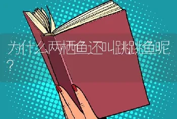 为什么两栖鱼还叫跳跳鱼呢？