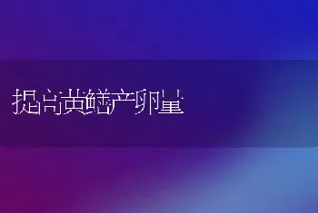 提高黄鳝产卵量