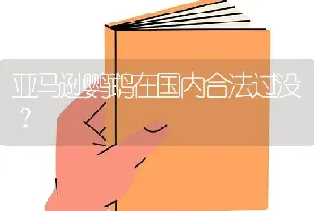 亚马逊鹦鹉在国内合法过没？