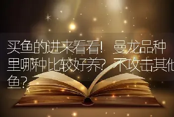 买鱼的进来看看!曼龙品种里哪种比较好养？不攻击其他鱼？