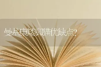 曼基康矮脚猫优缺点？