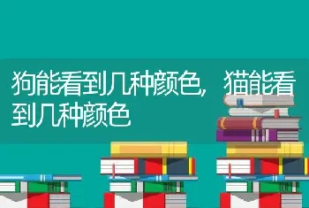 狗能看到几种颜色，猫能看到几种颜色