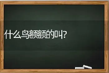 猫咪临产前有什么表现的症状征兆？