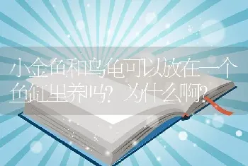 小金鱼和乌龟可以放在一个鱼缸里养吗？为什么啊？