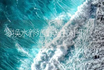 零换水养殖南美白对虾