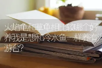 火焰龟和草龟相比较哪个好养我是想和冷水鱼一样养有浮游台？