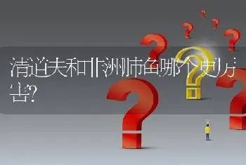 清道夫和非洲肺鱼哪个更厉害？