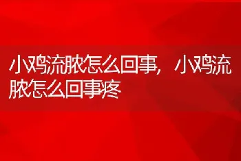 小鸡流脓怎么回事，小鸡流脓怎么回事疼