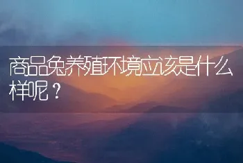 家有两三月大的哈士奇，会咬人爱咬东西还会乱叫，怎么弄，打有没有用？