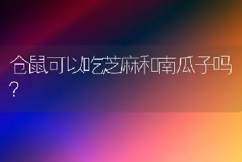 仓鼠可以吃芝麻和南瓜子吗？