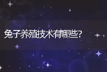 兔子养殖技术有哪些？