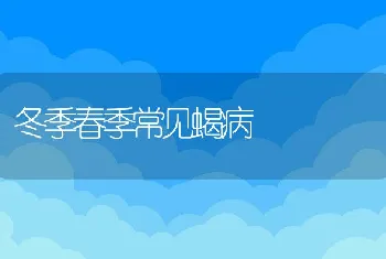 鱼病防治常用方法的几个小技巧