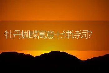 牡丹蝴蝶寓意七律诗词？