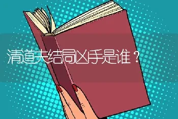 清道夫结局凶手是谁？