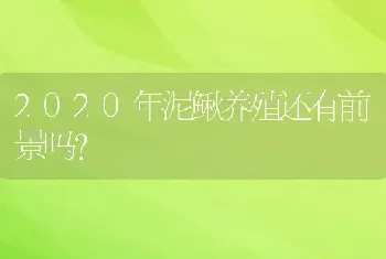 2020年泥鳅养殖还有前景吗？