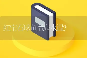 红宝石球鱼适应水温？