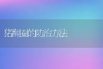 猪翻圈的防治方法