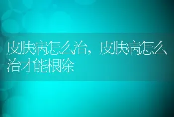 皮肤病怎么治，皮肤病怎么治才能根除