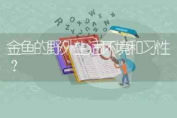 金鱼的野外生活环境和习性？