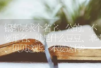 银渐层求个名字。公的。不要重名、就是什么豆豆、乖乖、贝贝这些。不要这种？