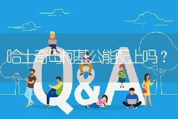 哈士奇母柯基公能配上吗？