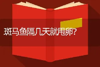 罗汉鱼多长时间可以繁殖？