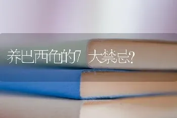 六个月比熊狗狗4斤正常吗？