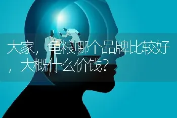 摸猫后感觉头疼胀痛是什么原因？