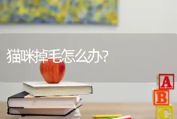 二哈的眼睛大不大？