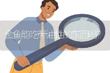 金鱼能吃带油性的东西吗？