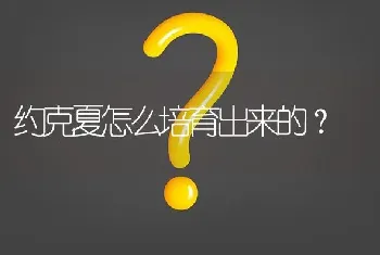 约克夏怎么培育出来的？