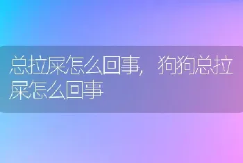 总拉屎怎么回事，狗狗总拉屎怎么回事